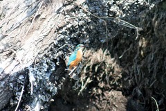 Killikus&reg; Fotographie